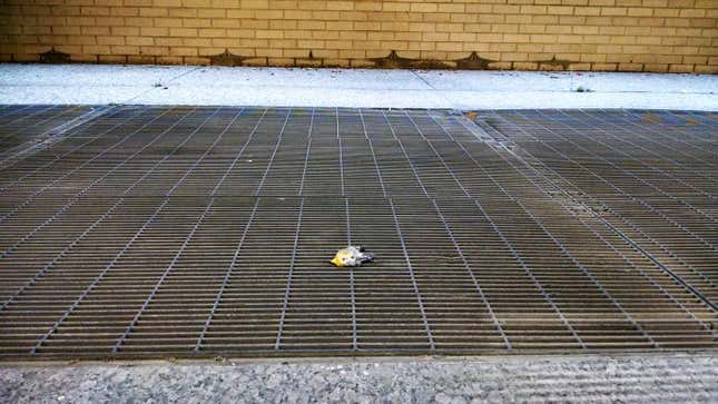 Image for article titled Glass architecture is killing millions of migratory birds
