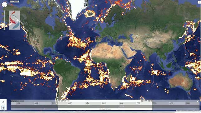 Image for article titled The world’s fish poachers are now being tracked… by Google