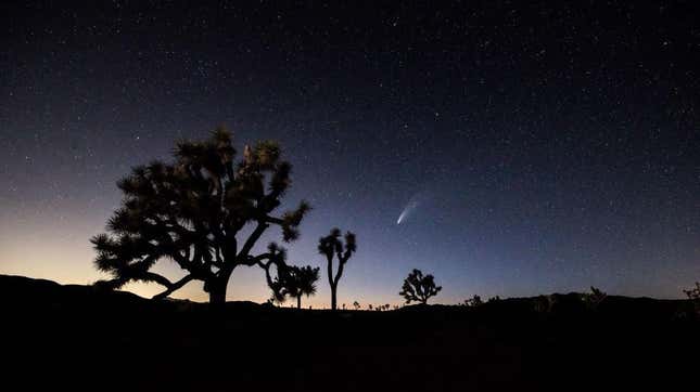 A comet seen on July 19, 2020, in Joshua Tree, California. 