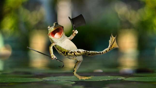 Image for article titled Herpetologists Discover Species Of Frogs That Evolved To Spontaneously Grow Top Hat And Cane