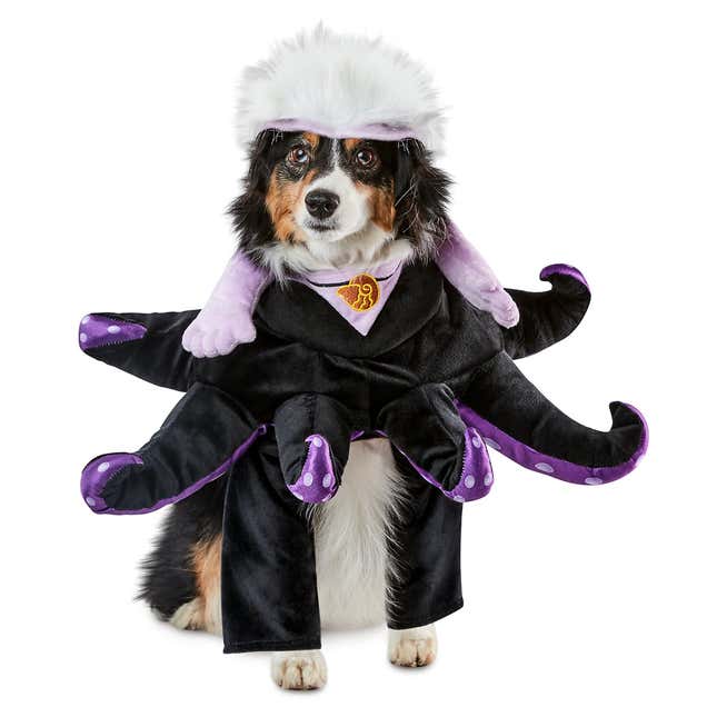 Image for article titled Disney&#39;s New Halloween Pet Costumes, Ranked