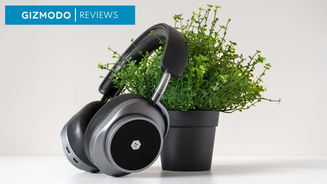 The Master & Dynamic MW75 wireless headphones leaning against a small plant.
