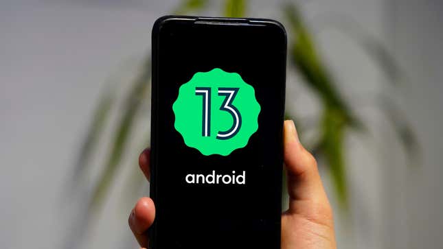 Image for article titled The Full List of Smartphones That Support Android 13