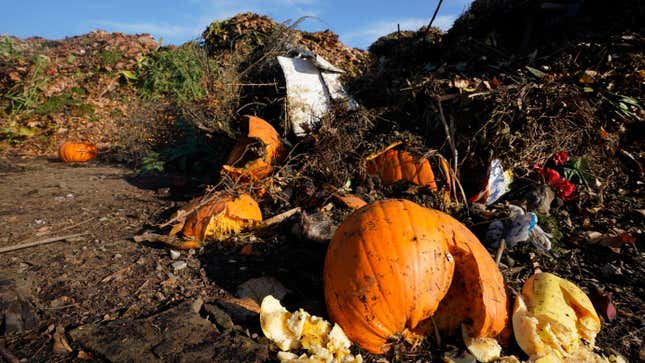A pumpkin sits in front of other garden waste at an anaerobic processing facility in Woodland, California.