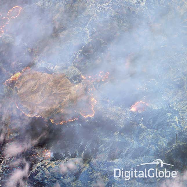 Image for article titled A new satellite can see through forest fires from space