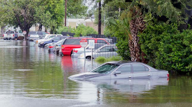 Image for article titled How to Tell If a Car Was Previously Damaged in a Flood