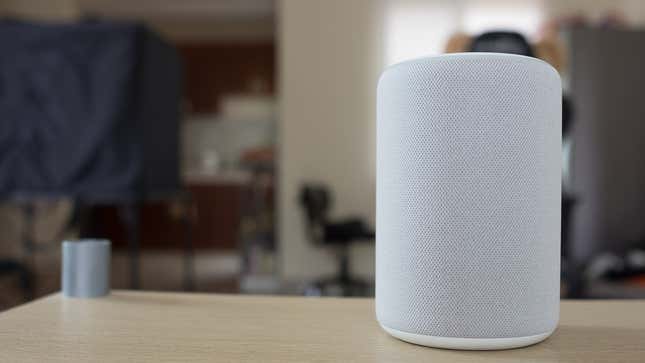 Image for article titled Things You Should Never Say To Your Amazon Alexa