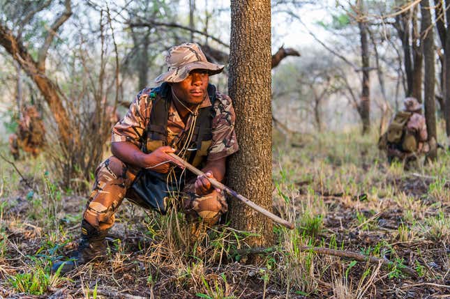 Field Ranger undergoing anti-poaching unit training , Somkhanda Private Game Reserve, KwaZulu Natal, South Africa
