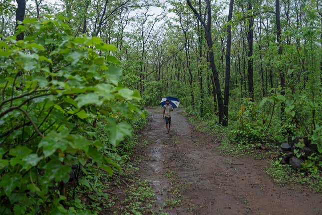 Several tribal communities and forest dwellers are dependent on forests for their livelihood.
