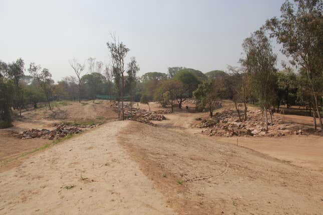 Microhabitat in 2008.