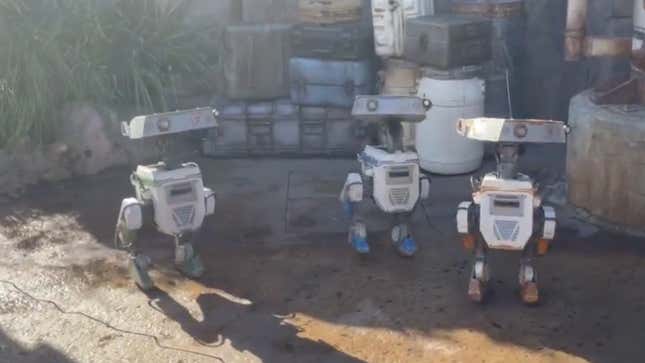 BD droidleri Galaxy's Edge Disneyland'da