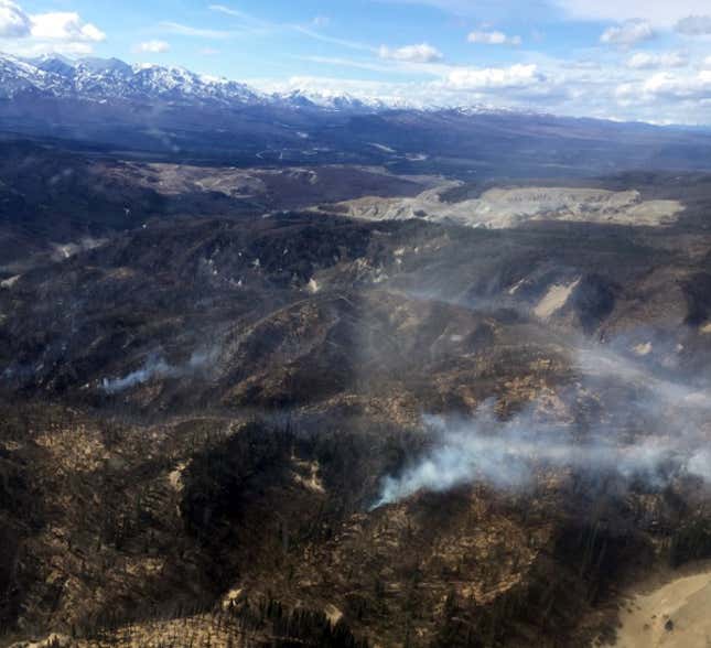 Burned landscape from above