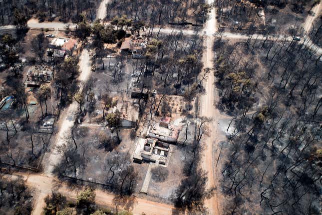 Image for article titled The aftermath of destructive wildfires, seen from above