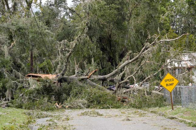 Trees and power lines block city streets, on August. 30, 2023, in Perry, Florida in the aftermath of Hurricane Idalia