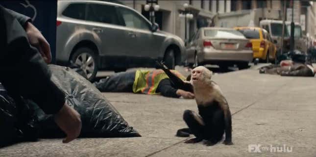 Ampersand the monkey gestures in the trailer for FX on Hulu's Y: The Last Man.