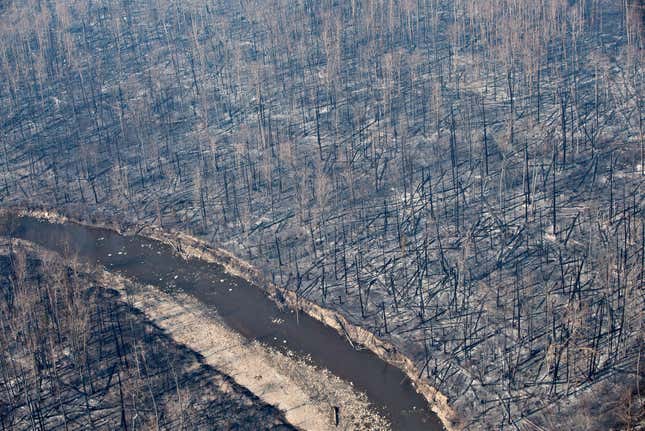 Image for article titled The aftermath of destructive wildfires, seen from above