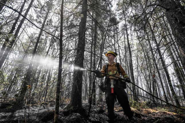 Department of Natural Resources and Renewables firefighter Kalen MacMullin of Nova Scotia, works on a fire in Shelburne County, N.S. on June 1, 2023.