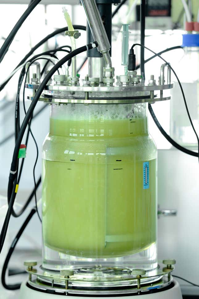 Electrochaea’s lab-scale bioreactor with archaea producing methane.