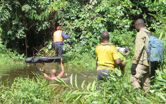 Wading through swamps in Nouabalé Ndoki National Park.