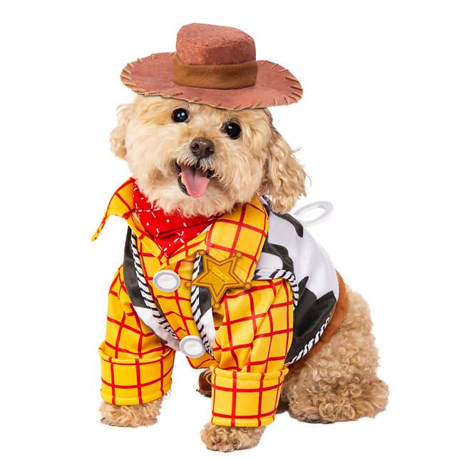 Disney's New Dog Halloween Costumes Ranked