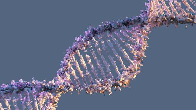 Imagen para el artículo titulado Los científicos finalmente han mapeado todo el genoma humano