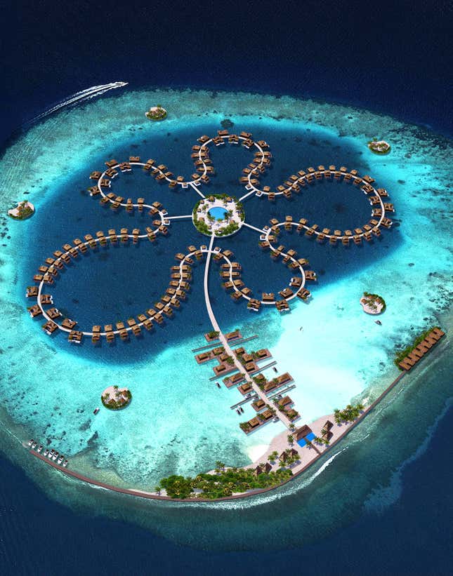This is what the ocean flower will look like in the next 13 months.