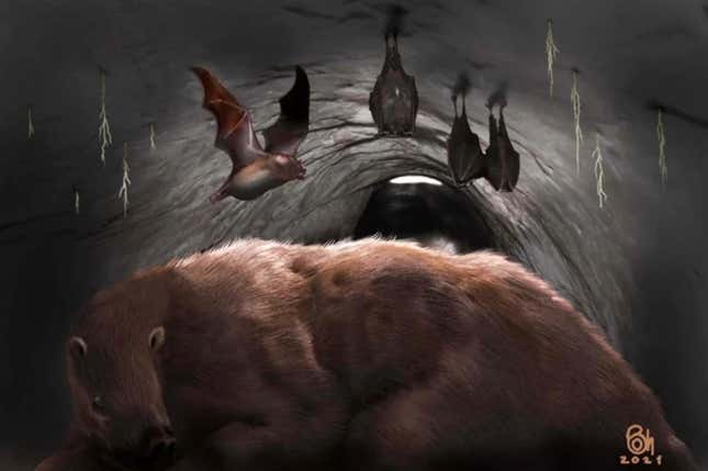 Imagen para el artículo titulado Hallan los restos de un vampiro gigante de 100.000 años de antigüedad en una cueva en Argentina