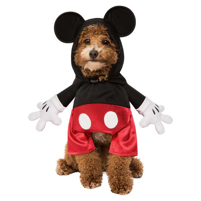 Image for article titled Disney&#39;s New Halloween Pet Costumes, Ranked