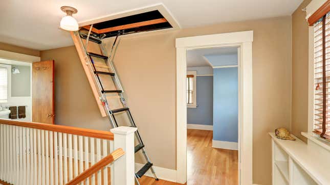 Image for article titled How to Insulate a Ceiling Trap Door to an Attic