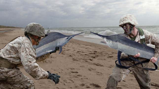 Image for article titled Navy Spends Majority Of Boot Camp Training Recruits To Fence Using Marlins