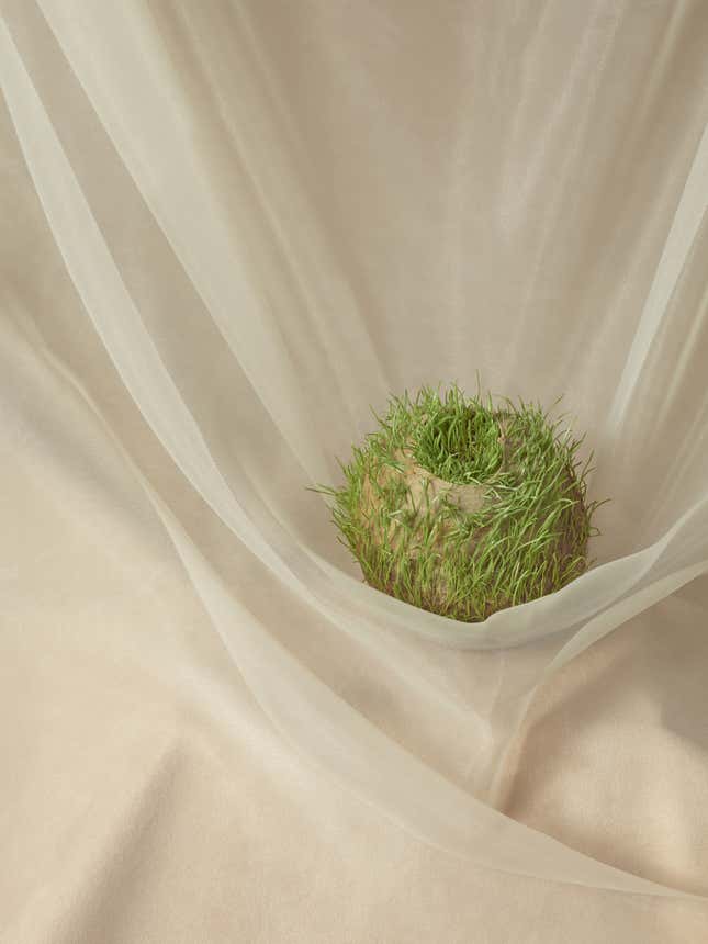 Image for article titled The hidden epidemic of compulsive hair pulling