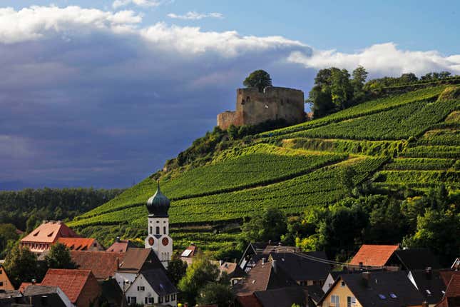 Ruins of Lichteneck Castle on the Weingut estate.