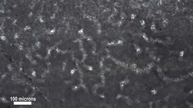 Tube-like microstructures suggesting the presence of ancient sponges. 