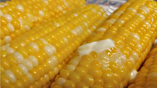 Image for article titled Nation Agrees That Despite Our Differences Americans Still Make Some Good-Lookin’ Corn