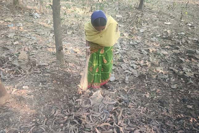 Villagers can now collect dry leaves for fuel from the forest on the Makino Raghunath Mountain. Earlier, they would have to walk long distances to get firewood.