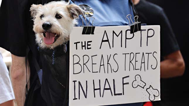 A dog joins members and supporters of the WGA and SAG-AFTRA on day 100 of the WGA strike outside Netflix and Warner Bros. on August 9, 2023 in New York City.
