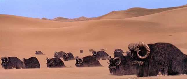 Image for article titled Places on Tatooine, Ranked