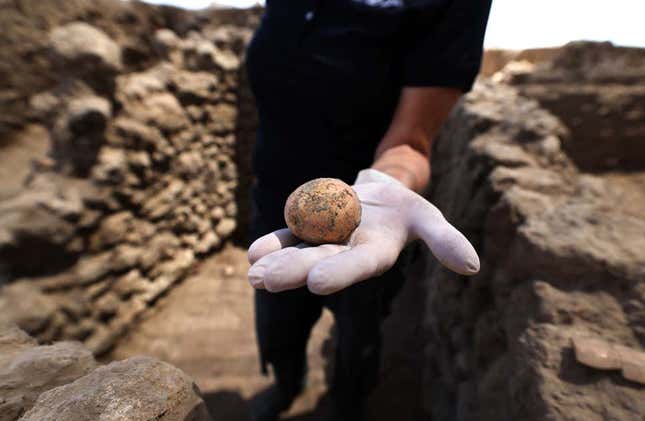 Imagen para el artículo titulado La gallina (o el huevo) vino por primera vez de este lugar, según la ciencia