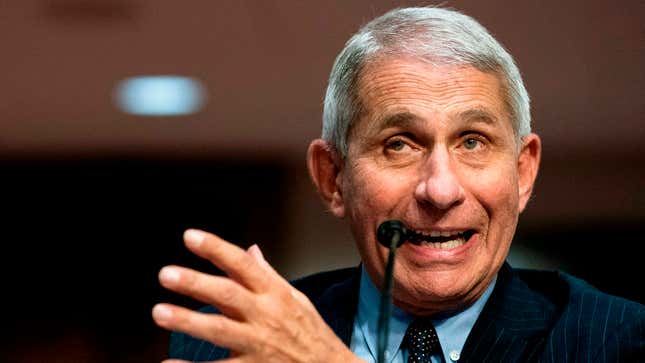 Image for article titled We Ask Dr. Fauci About What He's Planning For The Next Pandemic
