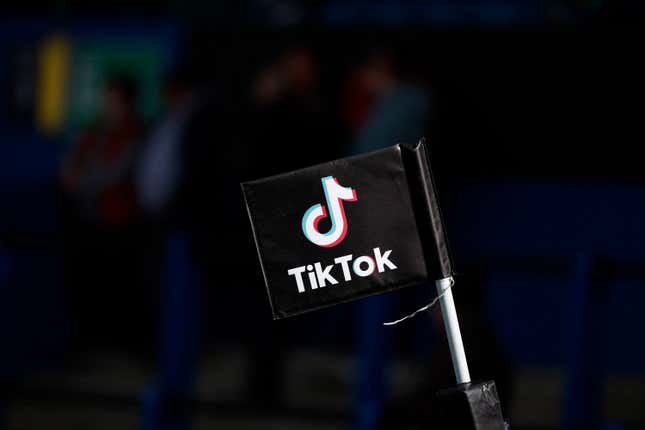 A black flag displaying the TikTok logo is pictured during the match 