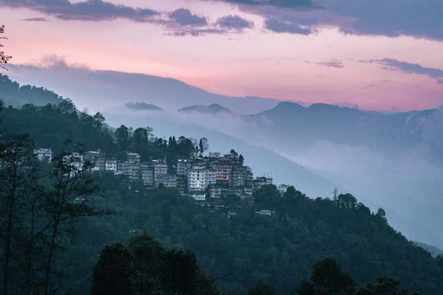 Forests in northeastern India have continuously decreased over the years.