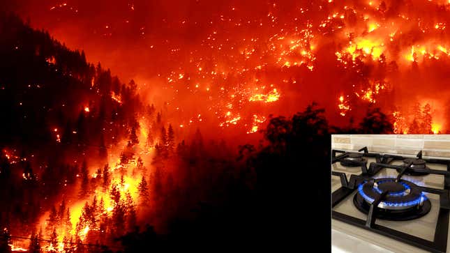 Image for article titled Raging Wildfire Disgusted By Kitchen Stove Flame’s Subservience To Humans