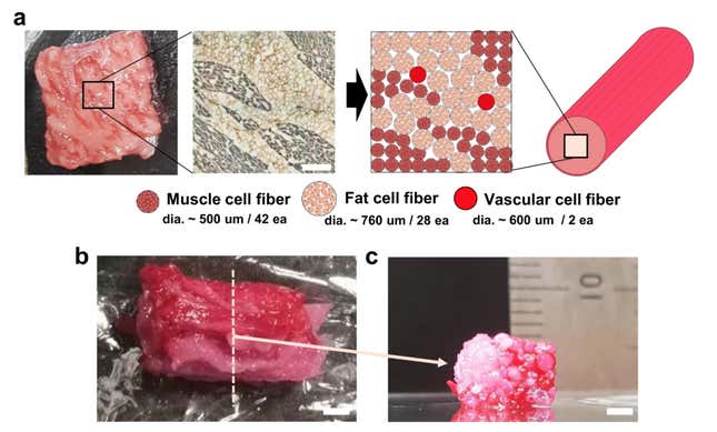 Imagen para el artículo titulado Científicos japoneses logran imprimir en 3D una pieza de la codiciada carne Wagyu