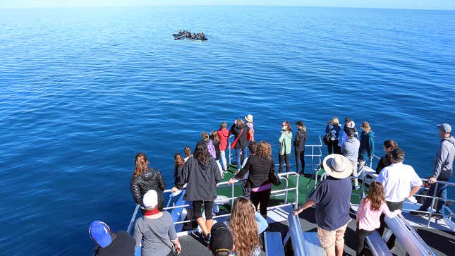 Image for article titled Mediterranean Tourists Go On Incredible Refugee-Watching Tour