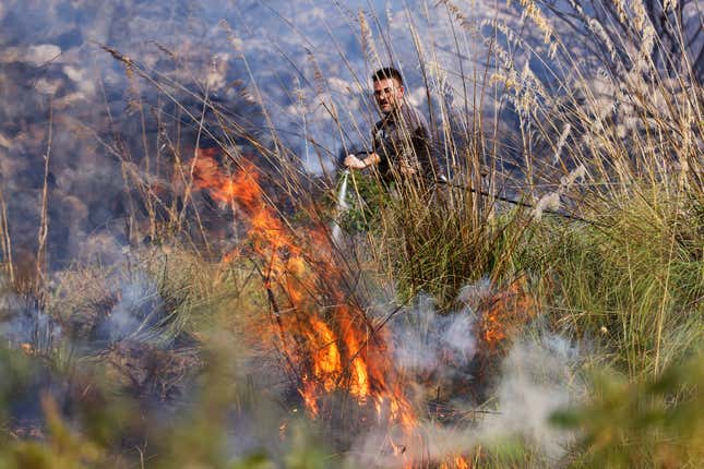 A member of anti-forest fire team puts out flames burning in Capaci, near Palermo, in Sicily, southern Italy, on July 26, 2023. 