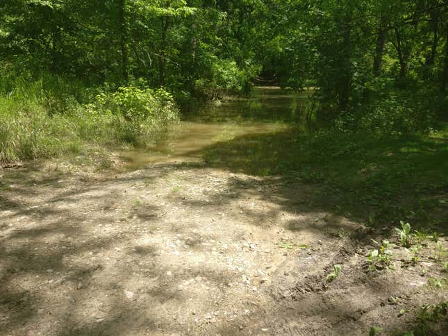 Image for article titled I Almost Killed Myself By Taking A Scooter On An Off-Road Adventure