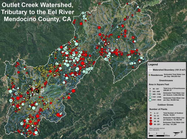 Marijuana cultivation uses an estimated 23.4 million gallons of water from the Outlet Creek watershed per year.