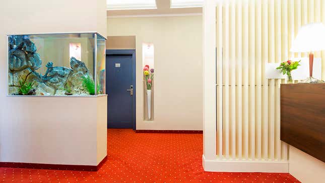 Image for article titled Fancy Water Cooler At Hotel Has Fish Floating In It