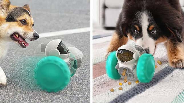 Pet Toy Treat Feeder Robot | $17 | Amazon