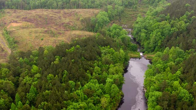 A drone photo shows dark pollution in Davis Creek.